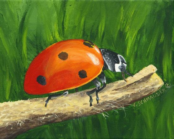 Ladybird by Carol Schmauder