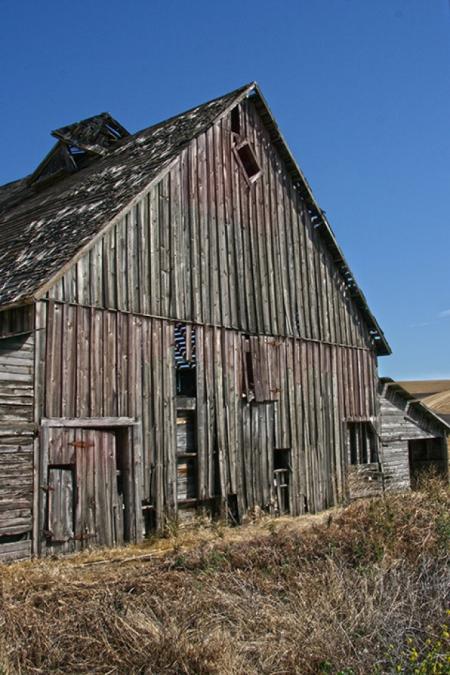 barn painted by NED FOX