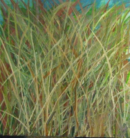 Grasses  by Chuck Harmon