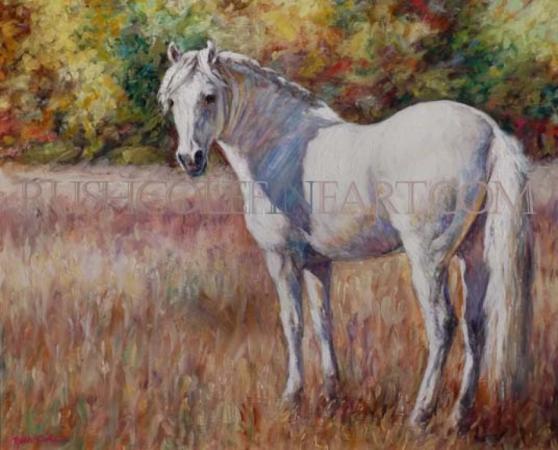 "WHITE HORSE MEADOW" by Rush Cole