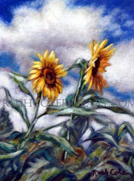 SUNFLOWER SONG by Rush Cole