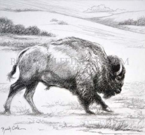 "TATANKA" by Rush Cole