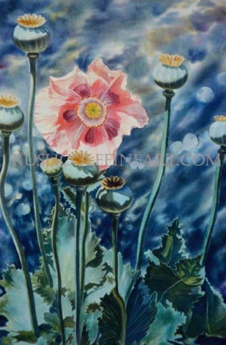 TALL PINK POPPY by Rush Cole